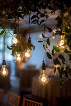 several light bulbs hanging from a tree in a room with chairs and tablecloths