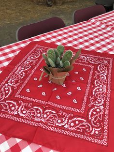 a potted plant sitting on top of a red table cloth