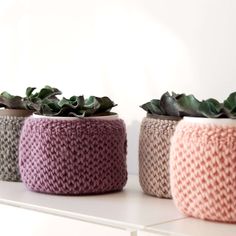 Patons Classic Wool, Crochet Plant Hanger, Crochet Succulent, Roving Yarn, Plant Crafts, Crochet Cozy, Easy Crochet Patterns Free, Diy Plant Hanger