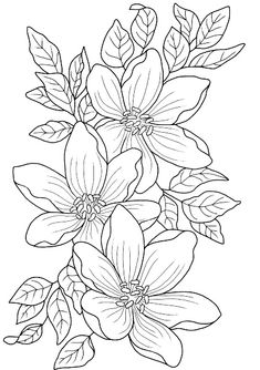 a bouquet of flowers with leaves on a white background coloring pages for adults, adult coloring pages, flower coloring pages, printable coloring pages, coloring sheets, coloring books, floral arrangements, color book pages, free, art, drawing patterns, doodles, paper, person, pattern