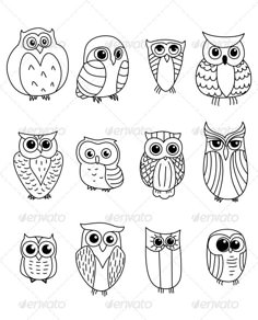 twelve owls with different eyes and beaks in the style of hand drawn on paper