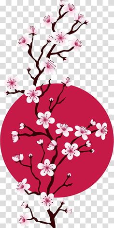 a branch with white flowers on it in front of a red circle png clipart