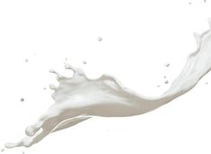 milk splashing into the air on a white background