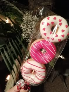 a hand holding a plastic container filled with donuts