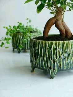 three potted plants with green leaves in them on a white surface, one is shaped like a planter and the other is shaped like a tree