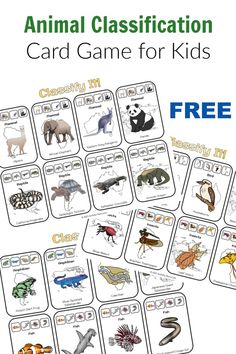 an animal card game for kids with pictures of different animals and their names on it