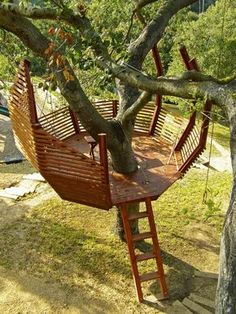 a tree house with a ladder to the top