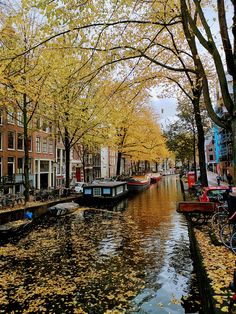 several boats are parked along the side of a canal with autumn leaves on the ground