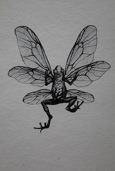 a black and white drawing of a frog with wings on it's back legs