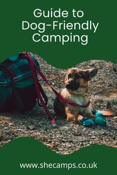 a dog sitting on the ground with a backpack in front of it and text overlay that reads guide to dog - friendly camping