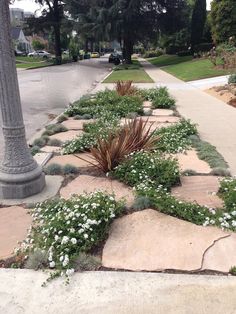 a sidewalk with flowers growing on it and a lamp post in the background