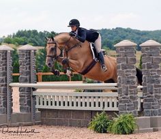 a person jumping a horse over an obstacle