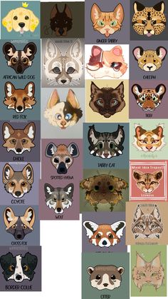 an image of different types of animals in the wild side up on each one's face