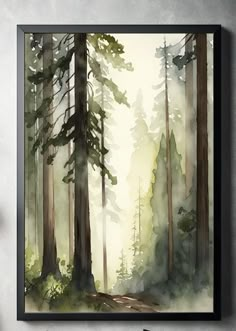 a watercolor painting of trees in the forest with fog and sunlight coming through them