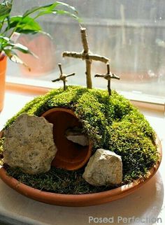 a potted plant sitting on top of a window sill filled with rocks and moss