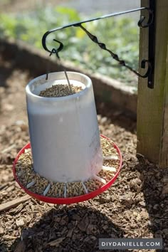 a bird feeder that is hanging from a post in the ground with grass growing on it