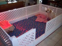 a white dog sitting on top of a bed in a room with tiled flooring