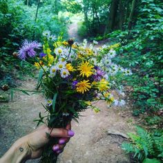 a person holding flowers in their hand on a dirt path through the woods and trees