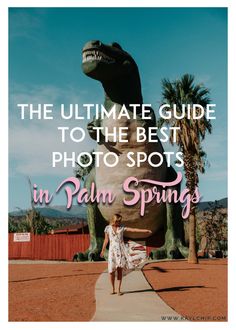 the ultimate guide to the best photo spots in palm springs, florida with text overlay