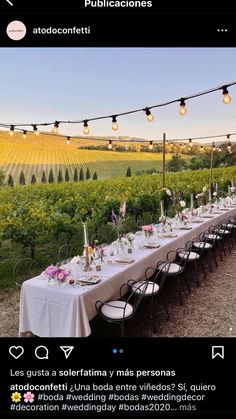 a long table is set up in the middle of a vineyard with lights strung over it