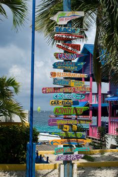 a pole with many signs on it near the water and palm trees in front of some buildings