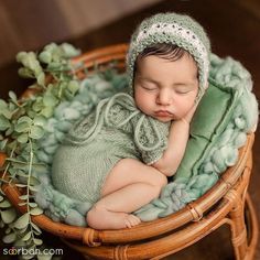 a baby is sleeping in a wicker basket with greenery on the side and wearing a green knitted hat