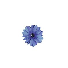 a single blue flower with black centers on a white background in the shape of a daisy