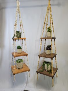 two wooden shelves with plants on them