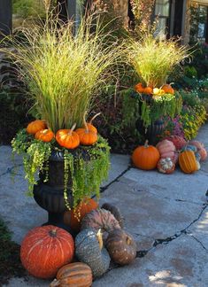 some pumpkins and gourds are sitting on the sidewalk