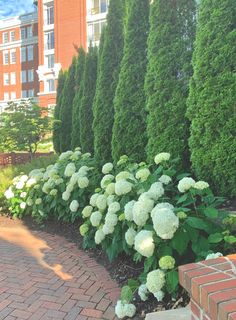 there are many trees and bushes along the sidewalk in front of this building that is red brick