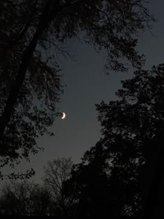 the moon is seen through some trees in the night sky, with no one visible