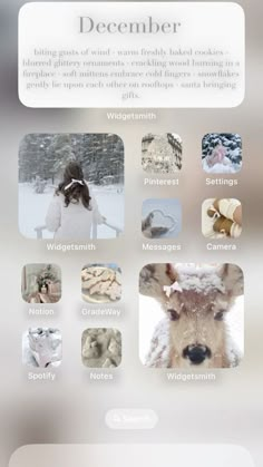 an image of a website page with the words december written in white and surrounded by pictures of animals