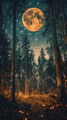 the full moon shines brightly in the night sky over a forest filled with trees