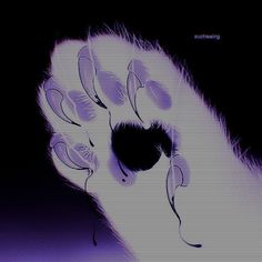 an animal's eye is shown in purple and black colors, with the image of a cat's eyes