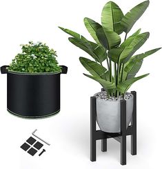 a potted plant next to a black and white container with green plants in it