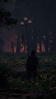 a person walking through a forest at night with street lights in the background and grass on the ground