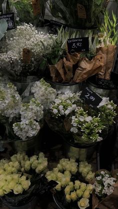 several buckets filled with white and green flowers