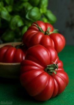 three red tomatoes sitting on top of a green counter next to a wooden bowl filled with basil