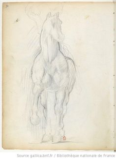 a pencil drawing of a horse standing upright