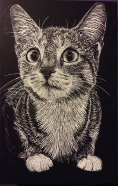 a black and white drawing of a cat