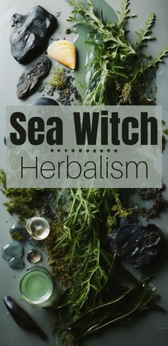 The domain of the sea witch extends beyond the ocean to the world of coastal herbs and shoreline plants. This detailed guide covers 20+ plants of coasts, beaches, wetlands and saltwater environments used in sea witchcraft. Learn magical properties and uses for kelp, seagrass, dulse, marsh mallow, samphire, sea lavender and more. From crafting potions to decorating altars, these oceanic botanicals enhance spells, rituals, charms and witchcraft attuned with water energy and sea spirits. Protection Sachet, Herb Sachets, Manifestation School, Sea Witchery, Beach Witch, Real Witchcraft, Beach Plants