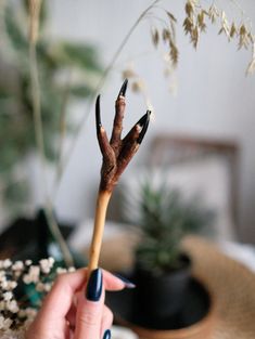 One of the kind hair stick that was created by nature and prepared to wear by us..  This handcrafted wooden hairpin, a truly enchanting accessory designed for those with a touch of witchy allure. This hairpin is carefully created with love and attention to detail, making it a perfect complement for any Witch, seeking to adorn their locks with a touch of magical elegance. Carefully carved from high-quality wood. The unique design features hand carved crow nails, symbolizing wisdom, intuition, and  connection to the spiritual realms. Each detail is thoughtfully sculpted, resulting in a hairpin that is beautiful and mysterious. It is also a practical tool for styling your hair with ease. The sturdy yet lightweight construction ensures a secure hold, keeping your hair in place throughout the d Crow Nails, Bone Hair Stick, Wooden Hair Sticks Handmade, Wood Hair Pin, Wooden Hair Sticks, Hand Carved Wooden Wands, Wood Carving Hair Stick, Real Witches, Hair Stick