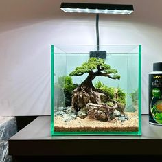 an aquarium with rocks and plants in it next to a bottle of deodorant