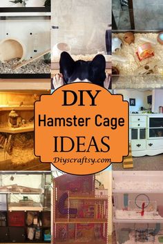 17 DIY Hamster Cage Ideas You Can Make At Home Hamster Cage Ideas Tanks, Natural Hamster Cage Ideas, Diy Hamster Cage, Big Hamster Cages, Syrian Hamster Cages