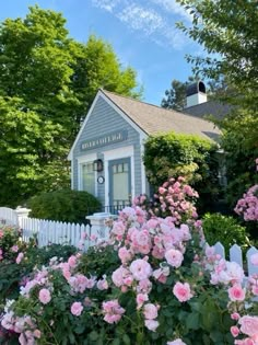 pink roses are blooming in front of a white picket fence and small blue house