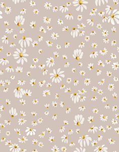 white and gold daisies on a gray background