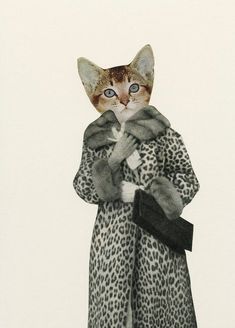 a cat in a leopard print coat and hat