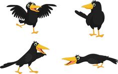 four different types of black birds with yellow beaks