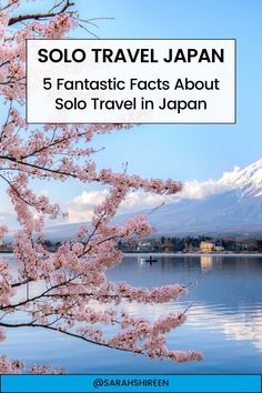 the cover of solo travel japan 5 fantastic facts about solo travel in japan