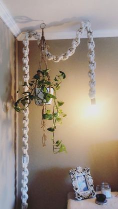 a plant hanging from the ceiling next to a table with a lamp on top of it